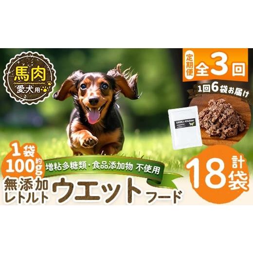 ふるさと納税 肉 鹿児島県 姶良市 a1071-G 3回定期便 増粘多糖類・食品添加物不使用 愛犬用無添加レトルトパック 馬ウェットフード6袋×3回(1袋約100g・合計約…