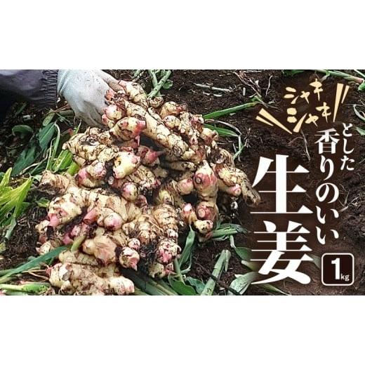 ふるさと納税 人参・大根・他根菜 鹿児島県 鹿屋市 シャキシャキとした香りのいい生姜 1kg KN082-002-01
