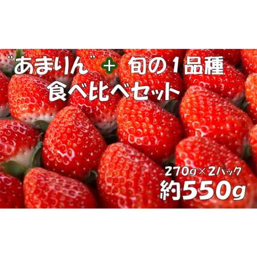 ふるさと納税 いちご 埼玉県 越谷市 あまりん+1品種 食べ比べセット 550g / いちご 苺 食べ比べ 旬のいちご 国産いちご 甘い みずみずしい 香り 高設栽培 …