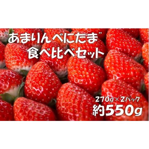 ふるさと納税 いちご 埼玉県 越谷市 あまりん×べにたま 食べ比べセット 550g / いちご 苺 食べ比べ 国産いちご 甘い 酸味 バランス 香り みずみずしい 高…