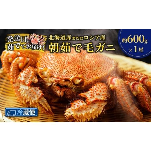 ふるさと納税 カニ 毛ガニ 北海道 幕別町 [冷蔵便]茹でたて直送 北海道産 または ロシア産 朝茹で毛ガニ 約600g×1尾 かに カニ 蟹 幕別町 北海道 毛蟹 毛ガ…