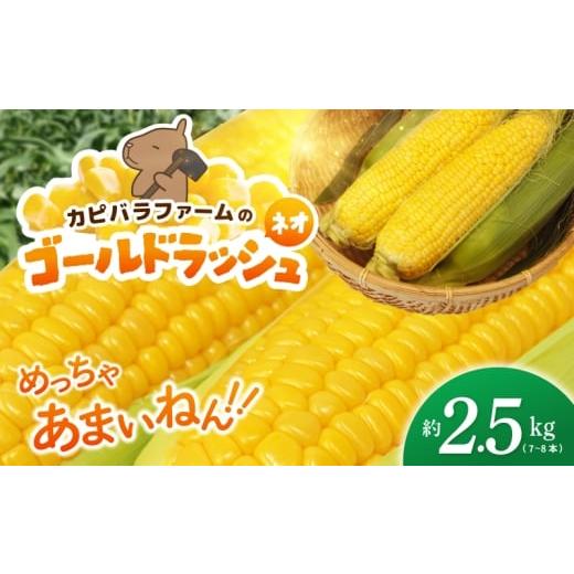 ふるさと納税 とうもろこし 大阪府 泉佐野市 先行予約 とうもろこし(ゴールドラッシュ ネオ) 約2.5kg(7〜8本) とうもろこし トウモロコシ 甘い スイーツ デ…