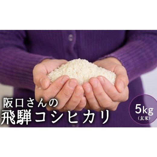 ふるさと納税 玄米 岐阜県 飛騨市 特別栽培米 令和7年産 飛騨産 コシヒカリ 玄米 5kg 単品 / 米 特A こしひかり 阪口農園 米 新米 こめ コメ ごはん 飛騨市 5…