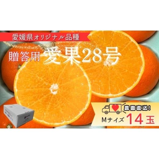 ふるさと納税 みかん・柑橘類 愛媛県 伊予市 みかん 愛果28号 Mサイズ 14玉 贈答用 紅まどんなと同一品種 農園直送 先行予約 11月中旬から順次発送予定 愛媛 …