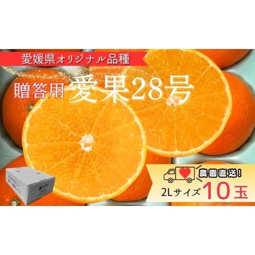 ふるさと納税 みかん・柑橘類 愛媛県 伊予市 みかん 愛果28号 2Lサイズ 10玉 贈答用 紅まどんなと同一品種 農園直送 先行予約 2026年11月中旬から順次発送予定…