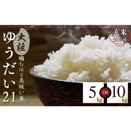 ふるさと納税 玄米 岐阜県 飛騨市 玄米 特別栽培米 令和7年産 ゆうだい21 飛騨産 玄米 10kg 単品 米 新米 阪口農園 特A 米 こめ コメ ごはん 単一原料米 飛騨…