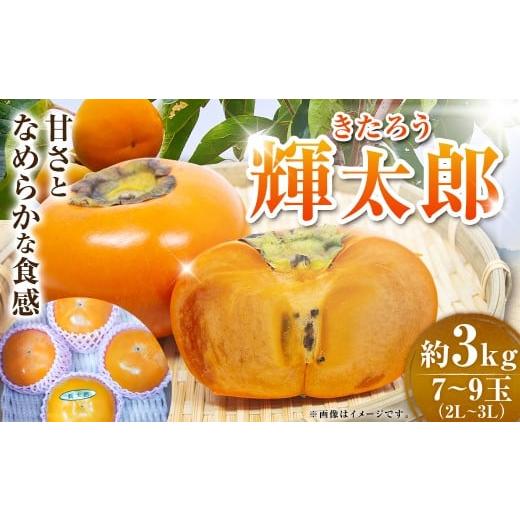 ふるさと納税 果物類 柿 福岡県 うきは市 輝太郎 約3kg 7-9玉(2L-3L) 2026年9月下旬〜10月上旬発送予定 柿 輝太郎柿 かき 果物 くだもの フルーツ 福岡県 う…