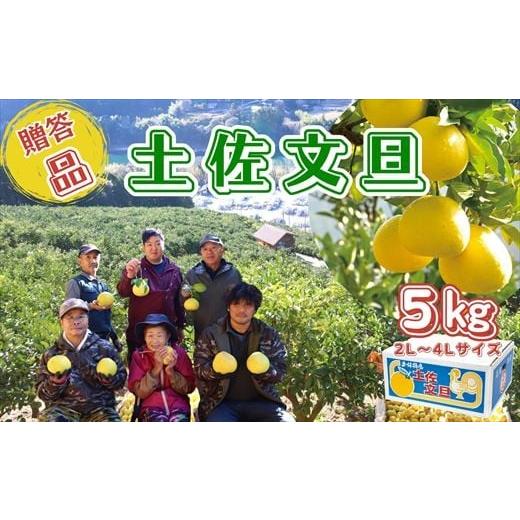 ふるさと納税 みかん・柑橘類 高知県 いの町 香る さっぱり 岡林さんの土佐文旦 贈答用5kg