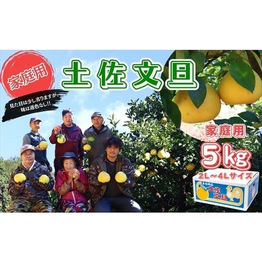 ふるさと納税 みかん・柑橘類 高知県 いの町 香る さっぱり 岡林さんの土佐文旦 家庭用5kg