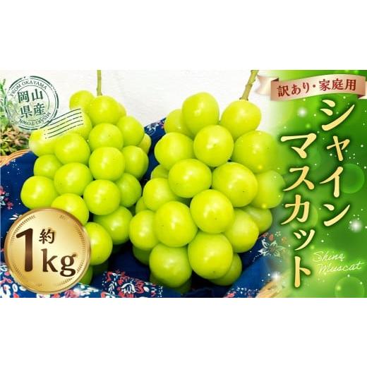 ふるさと納税 ぶどう マスカット 岡山県 美咲町 訳あり 家庭用 シャインマスカット 500g以上 2房入り 1kg以上 マスカット ぶどう ブドウ 葡萄 グレープ フルー…