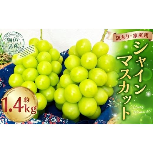 ふるさと納税 ぶどう マスカット 岡山県 美咲町 訳あり 家庭用シャインマスカット 700g以上 2房入り 1.4kg以上 マスカット ぶどう ブドウ 葡萄 グレープ フル…