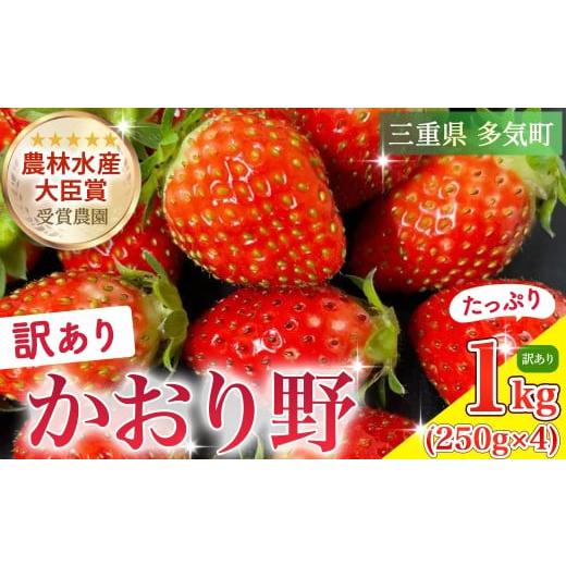 ふるさと納税 いちご 三重県 多気町 (粒の大きさ指定不可)農林水産大臣賞受賞農園からお届けする 訳アリ かおり野 1kg(250g×4P)/いちご ISH-03