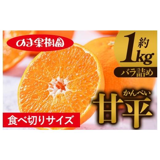 ふるさと納税 果物類 みかん 愛媛県 今治市 ＼農家を応援キャンペーン実施中/甘平(1kg) K003720K1 人気商品 国産 高級フルーツ 人気商品 みかん 柑橘 フル…
