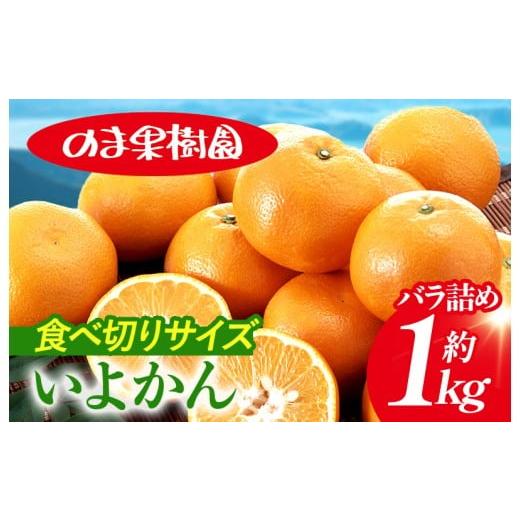 ふるさと納税 果物類 みかん 愛媛県 今治市 ＼農家を応援キャンペーン実施中/いよかんバラ詰め(1kg) K003660K1 人気商品 国産 高級フルーツ 人気商品 みか…