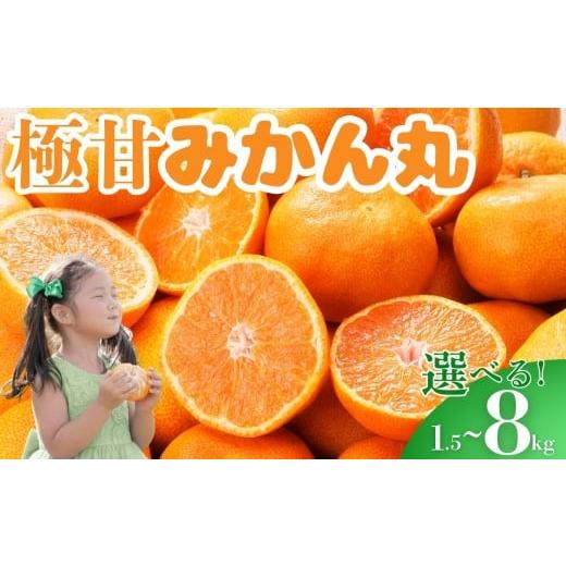 ふるさと納税 果物類 みかん 愛知県 豊橋市 休止中 すぐにお届け 極甘 みかん丸 選べる1.5kg ~ 8kg 温州みかん みかん 蜜柑 ミカン 柑橘 旬 果物 フルーツ 柑…