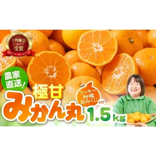 ふるさと納税 果物類 みかん 愛知県 豊橋市 2月お届け 極甘 みかん丸 お試し:1.5kg箱 温州みかん みかん 蜜柑 ミカン 柑橘 旬 果物 フルーツ 柑橘 甘い おス…