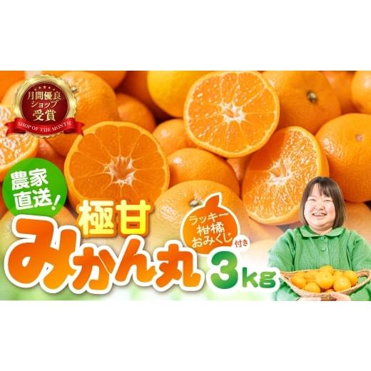 ふるさと納税 果物類 みかん 愛知県 豊橋市 2月お届け 極甘 みかん丸 3kg箱 温州みかん みかん 蜜柑 ミカン 柑橘 旬 果物 フルーツ 柑橘 甘い おススメ 人気 …