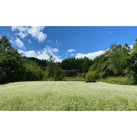ふるさと納税 そば 乾めん 長野県 山形村 十割そば 乗鞍番所在来（のりくらばんどころざいらい） 乾麺 20袋セット 1416_3
