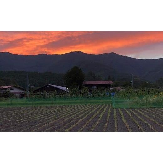 ふるさと納税 そば 乾めん 長野県 山形村 十割そば 乗鞍番所在来（のりくらばんどころざいらい） 乾麺 20袋セット 1416_4