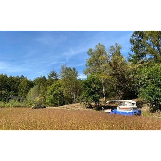 ふるさと納税 そば 乾めん 長野県 山形村 十割そば 乗鞍番所在来（のりくらばんどころざいらい） 乾麺 20袋セット 1416_5