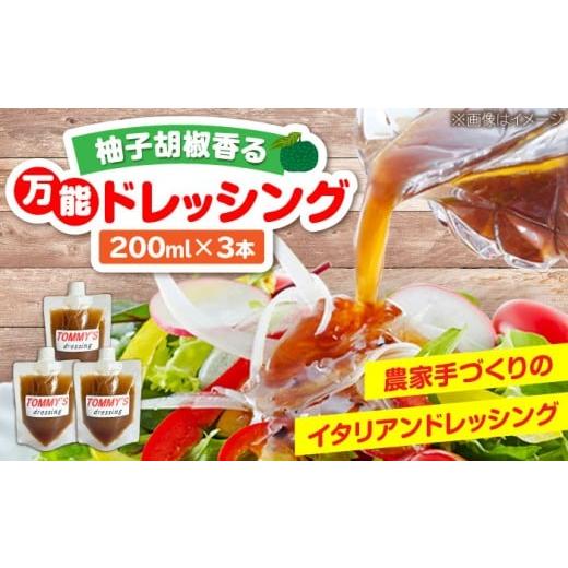 ふるさと納税 調味料・油 ドレッシング 福岡県 豊前市 農家の作る 特製万能ドレッシング「TOMMY'S dressing」 200ml×3本 [豊前市] 田村農産 ドレッシ…
