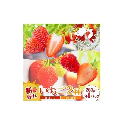 ふるさと納税 いちご 静岡県 富士宮市 0011-106-08 富士宮市産 いちご 2種セット 紅ほっぺ &amp; きらぴ香 各280g×1P 計560g