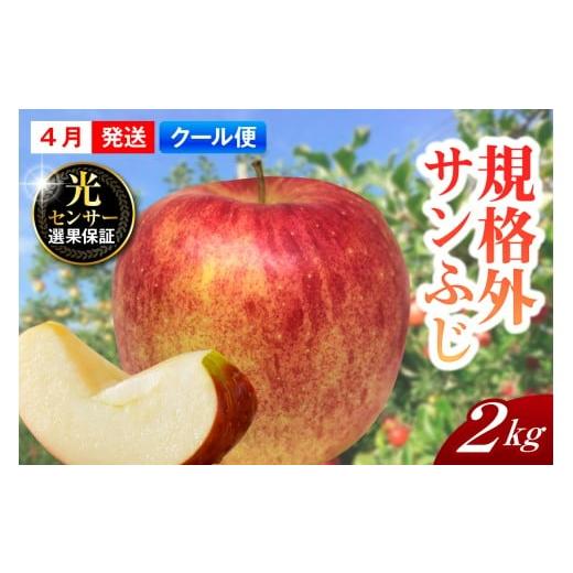 ふるさと納税 りんご 青森県 五所川原市 2026年4月上旬発送 規格外 りんご サンふじ 約2kg スマートフレッシュ?貯蔵 または CA貯蔵 クール便 青森県産 約2kg