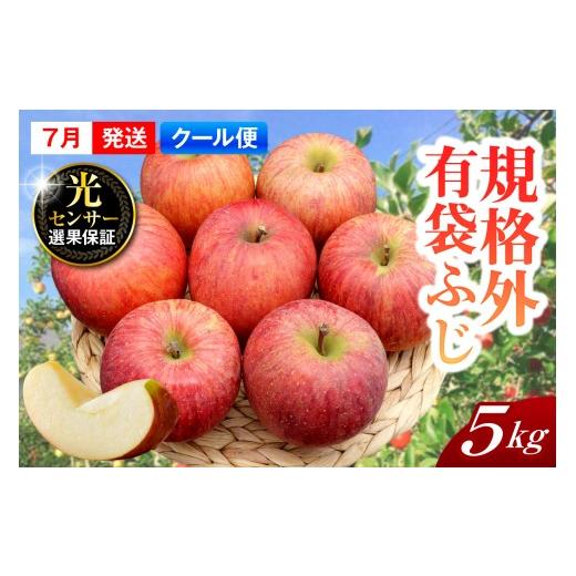 ふるさと納税 りんご 青森県 五所川原市 2026年7月上旬発送 規格外 りんご 約5kg 有袋ふじ スマートフレッシュ?貯蔵 または CA貯蔵 クール便 青森県産 2026年…