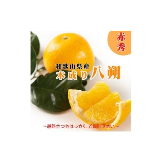 ふるさと納税 みかん・柑橘類 和歌山県 海南市 2026年先行予約 八朔 はっさく 木成り 赤秀 10kg 3月下旬〜4月下旬に順次出荷予定(サイズ不選別)|和歌山県…