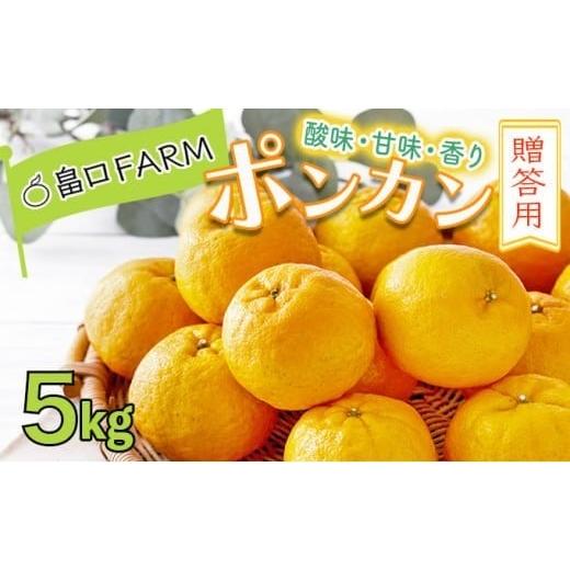 ふるさと納税 みかん・柑橘類 高知県 東洋町 先行予約 ポンカン 贈答用 5kg 5kg