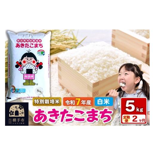 ふるさと納税 米 あきたこまち 秋田県 横手市 令和7年産 白米 [定期便2ヶ月]特別栽培米 あきたこまち 5kg 秋田県 横手市 秋田県産 あきたこまち 秋田こまち