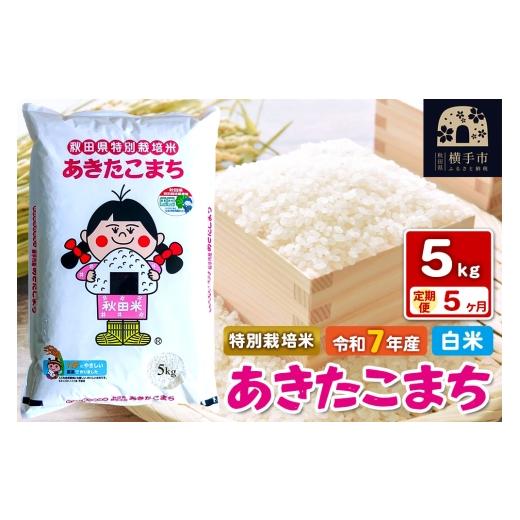 ふるさと納税 米 あきたこまち 秋田県 横手市 令和7年産 白米 《定期便5ヶ月》特別栽培米 あきたこまち 5kg 秋田県 横手市_1