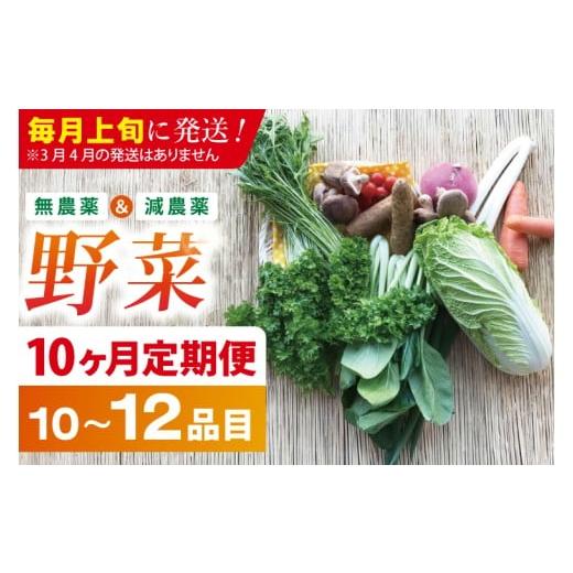 ふるさと納税 セット・詰合せ 茨城県 行方市 10ヶ月定期便 毎月上旬発送 身体が喜ぶ季節の野菜 10〜12品目|野菜 やさい 野菜セット セット 詰め合わせ おま…