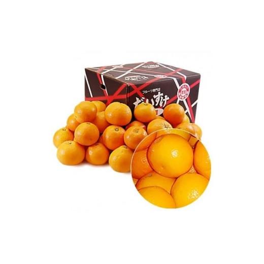 ふるさと納税 果物類 みかん 愛媛県 八幡浜市 愛媛県産みやうちいよかん 訳あり 10kg E35-31 1609732