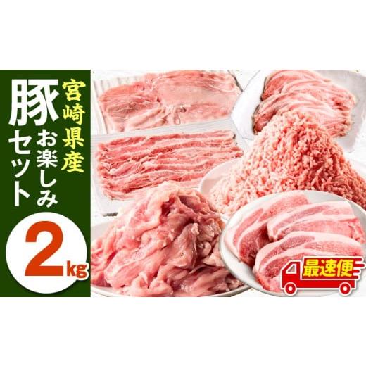 ふるさと納税 豚肉 セット 宮崎県 宮崎市 最速便 宮崎県産豚お楽しみセット合計2kg_M241-002-01-2W 13,000円 最速便 2kg