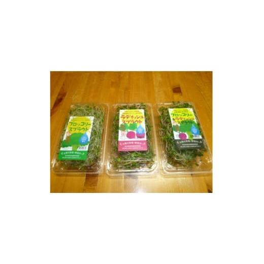 ふるさと納税 野菜類 岡山県 久米南町 ブロッコリースプラウト 40g×10パック 1701975