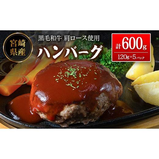 ふるさと納税 肉 ハンバーグ 宮崎県 新富町 宮崎県産黒毛和牛肩ロース使用 ハンバーグ 計600g(1個120g×5パック)冷凍 小分け 国産 A342 計600g(1個120g×5…