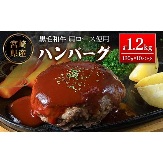 ふるさと納税 肉 ハンバーグ 宮崎県 新富町 宮崎県産黒毛和牛肩ロース使用 ハンバーグ 計1.2kg(1個120g×10パック)冷凍 小分け 国産 B677 計1.2kg(1個120g…