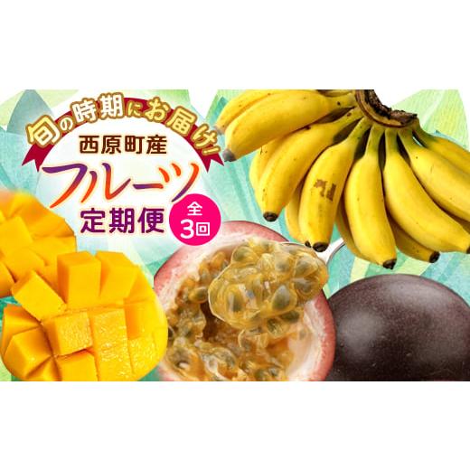 ふるさと納税 マンゴー 沖縄県 西原町 発送月固定定期便 JAおきなわ厳選フルーツセット(パッションフルーツ・マンゴー・島バナナ)全3回 4080887