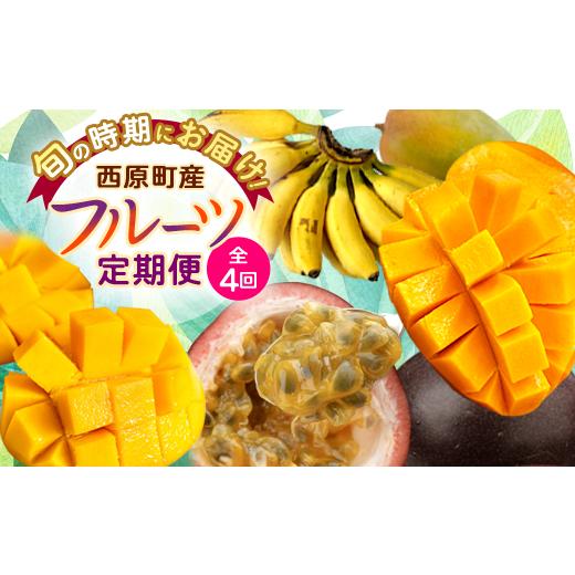 ふるさと納税 マンゴー 沖縄県 西原町 発送月固定定期便 JAおきなわ厳選 季節の南国フルーツ 西原町の旬の味覚をお届け全4回 4080888