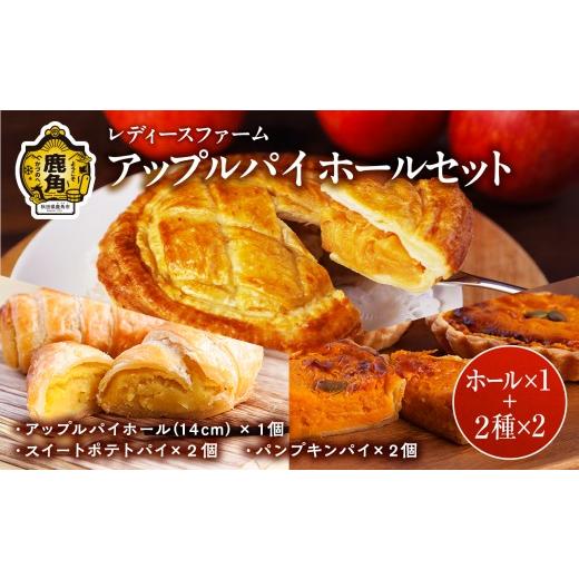 ふるさと納税 焼菓子・チョコレート アップルパイ 秋田県 鹿角市 アップルパイ ホールセット(ホール1個 + パイ4個) レディースファーム スイーツ お菓子 バ…