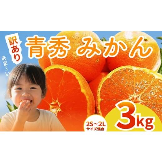 ふるさと納税 果物類 高知県 安芸市 2025年12月上旬〜発送 訳あり アカメの国農園特選みかん 青秀 3kg / みかん 蜜柑 ミカン 柑橘 フルーツ 果物 みかん く…