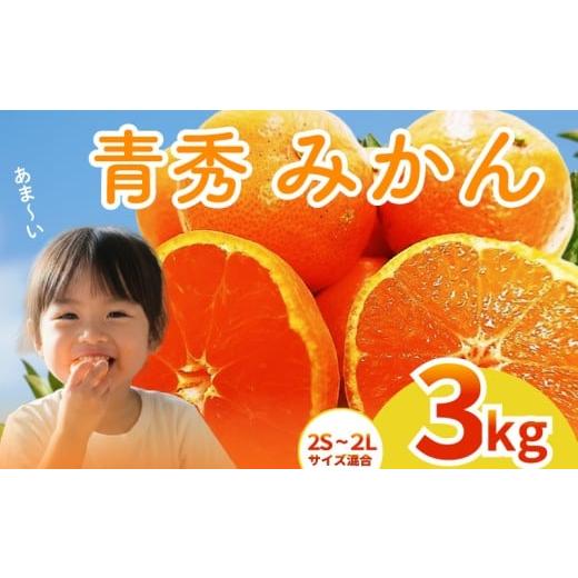 ふるさと納税 果物類 高知県 安芸市 2025年12月上旬〜発送 アカメの国農園特選みかん 青秀 3kg / みかん 蜜柑 ミカン 柑橘 フルーツ 果物 みかん くだもの …