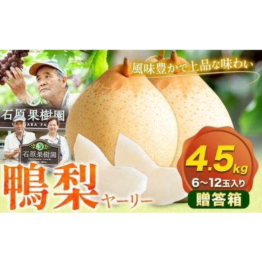 ふるさと納税 梨 岡山県 浅口市 先行予約 梨 なし 鴨梨 ヤーリー 贈答箱 4.5kg(6~12玉入り) 石原果樹園 [11月中旬-12月下旬頃出荷]岡山県 浅口市 果物 フル…