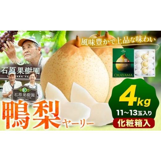 ふるさと納税 梨 岡山県 浅口市 先行予約 梨 なし 鴨梨 ヤーリー 梨 化粧箱入 4kg (11〜13玉入り) 石原果樹園 [2026年11月中旬-12月下旬頃出荷]岡山県 浅口…