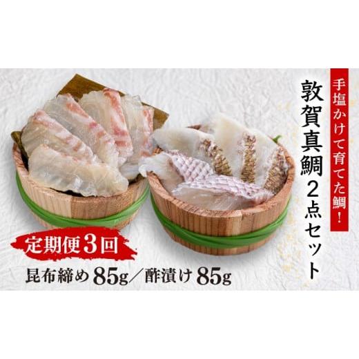 ふるさと納税 魚貝類 鯛 福井県 敦賀市 定期便 [3ヶ月連続お届け]敦賀真鯛 昆布締め と 酢漬けのセット あけぼの旅館 真鯛 鯛 タイ 刺身 お寿司 寿司 酒の…