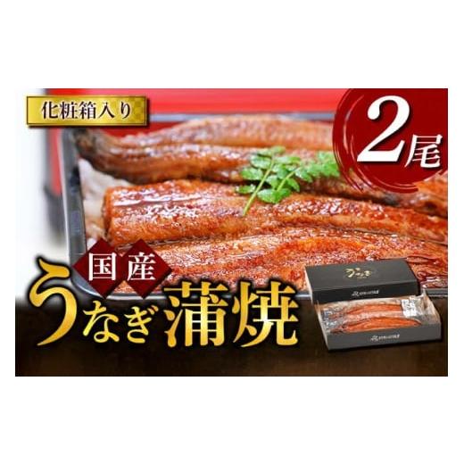 ふるさと納税 うなぎ 徳島県 北島町 うなぎ 国産 うなぎ蒲焼き 2尾 モリカン 徳島県 北島町 29bh0001 ウナギ 鰻 unagi うなぎ蒲焼 真空パック 真空 パック 冷…