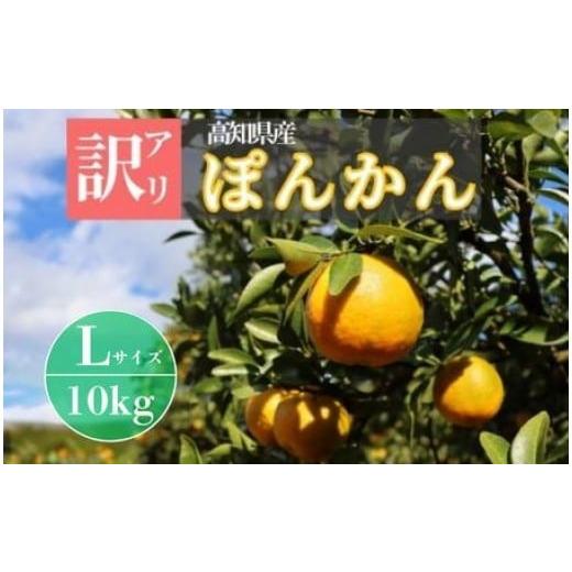ふるさと納税 みかん・柑橘類 高知県 東洋町 徳村の訳ありぽんかん Lサイズ 10kg 国産 東洋町産 訳アリ 甘い コク ジューシー 果肉 高知県 東洋町 四国 お取り…