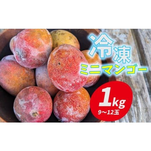 ふるさと納税 マンゴー 沖縄県 久米島町 久米島赤鶏牧場 完熟 冷凍ミニマンゴー1kg(9〜12玉) アーウィン アップルマンゴー ミニサイズ 小さい 完熟 アイス …