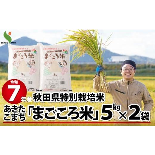 ふるさと納税 米 あきたこまち 秋田県 大館市 令和7年産秋田県特別栽培米あきたこまち「まごころ米」10kg 150P9020 / 米 10kg あきたこまち 令和7年産 特別…